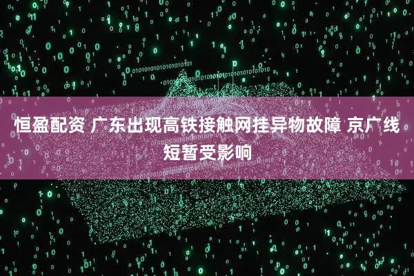 恒盈配资 广东出现高铁接触网挂异物故障 京广线短暂受影响