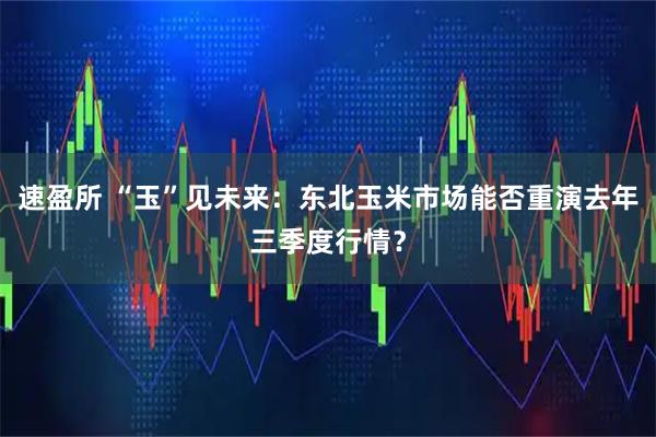 速盈所 “玉”见未来：东北玉米市场能否重演去年三季度行情？